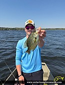 14" Black Crappie caught on Mountsberg Reservoir