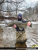 37" Chinook Salmon caught on Bronte Creek
