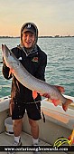39.45" Muskie caught on Lake St. Clair