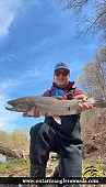 30" Rainbow Trout caught on Credit River