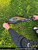 18" Smallmouth Bass caught on Longbow Lake