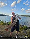 46" Northern Pike caught on Nipigon Bay