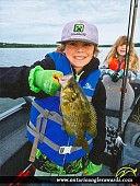10.5" Rock Bass caught on Bright Lake