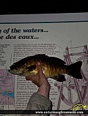 18" Smallmouth Bass caught on Rideau River