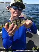 12" Yellow Perch caught on Lake Simcoe