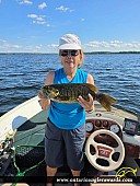 18.6" Largemouth Bass caught on Balsam Lake
