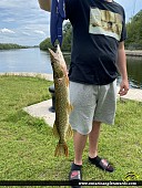 30" Northern Pike caught on Trent River