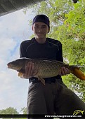 31" Carp caught on Turkey Creek