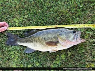 18" Largemouth Bass caught on Rabbit lake