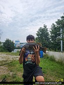 19" Smallmouth Bass caught on Ottawa River