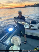 39" Chinook Salmon caught on Georgian Bay