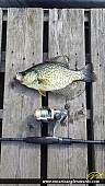 11" Black Crappie caught on Skerryvore Lake