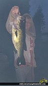 22" Largemouth Bass caught on Pencil Lake