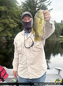 11.5" Rock Bass caught on Kecil Lake