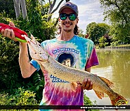 31" Northern Pike caught on Cedar Creek