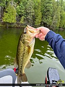 18" Largemouth Bass caught on Mephisto Lake