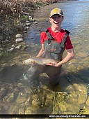 24" Brown Trout caught on Conostogo River