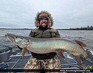 45" Muskie caught on Mianki