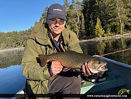 19.75" Brook/Speckled Trout caught on Mcfie
