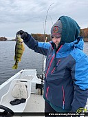 12" Yellow Perch caught on St. Lawrence River