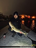 30.5" Walleye caught on Lake Ontario