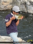18" Largemouth Bass caught on Whitefish Lake
