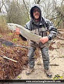 30" Rainbow Trout caught on Bowmanville Creek