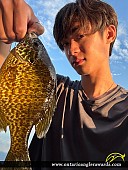 9.35" Pumpkinseed caught on Buck Lake