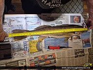 30" Walleye caught on Conestogo Lake