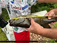 18.5" Smallmouth Bass caught on Lower Fry Lake