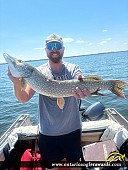 31" Northern Pike caught on Rainy Lake