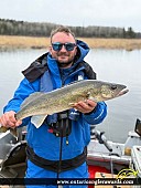 28" Walleye caught on Wine Lake