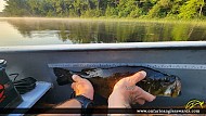 19" Largemouth Bass caught on Corey lake