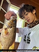 10.5" Rock Bass caught on Buck Lake
