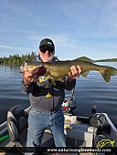 31" Walleye caught on Granite Hill