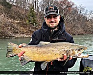 27" Brown Trout caught on Niagara River