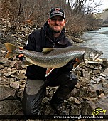 32" Lake Trout caught on Niagara River