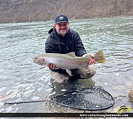 36" Rainbow Trout caught on Niagara River