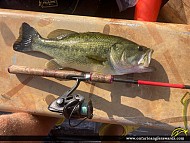 19" Largemouth Bass caught on Lake St. Clair