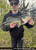 21" Largemouth Bass caught on Moira River