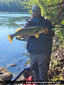 30" Walleye caught on Niagara River