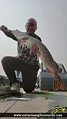 38" Northern Pike caught on Eagle Lake