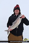 26" Whitefish caught on Lake simcoe