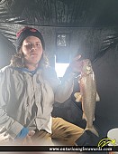 22.75" Whitefish caught on Lake simcoe
