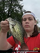 10.5" Black Crappie caught on Sparrow lake