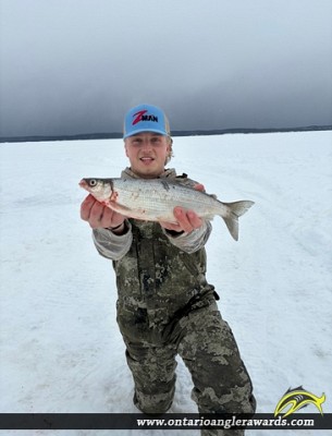22.4" Whitefish caught on Lake Nipissing