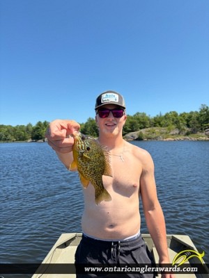 9" Pumpkinseed caught on Sturgeon Bay