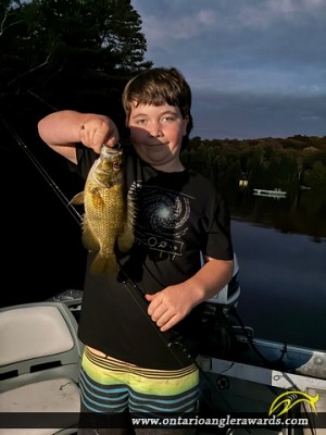 11.375" Rock Bass caught on Ril Lake