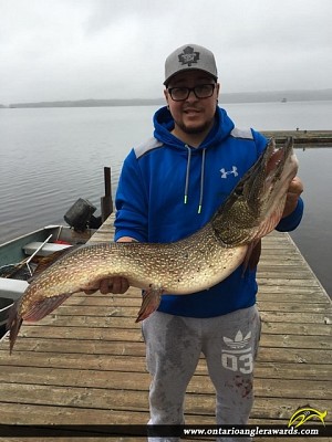 46" Northern Pike caught on Crowe Lake
